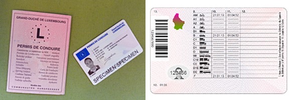 Nouveau permis de conduire allemand, un plan d'échange par année de  naissance et de délivrance – Nath in Düss